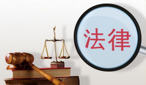 城管執(zhí)法悲劇與化工產(chǎn)品的社會(huì)責(zé)任反思